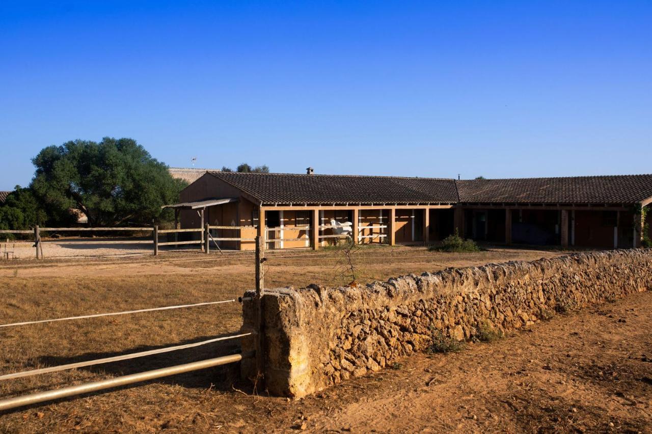 Finca Son Yador *