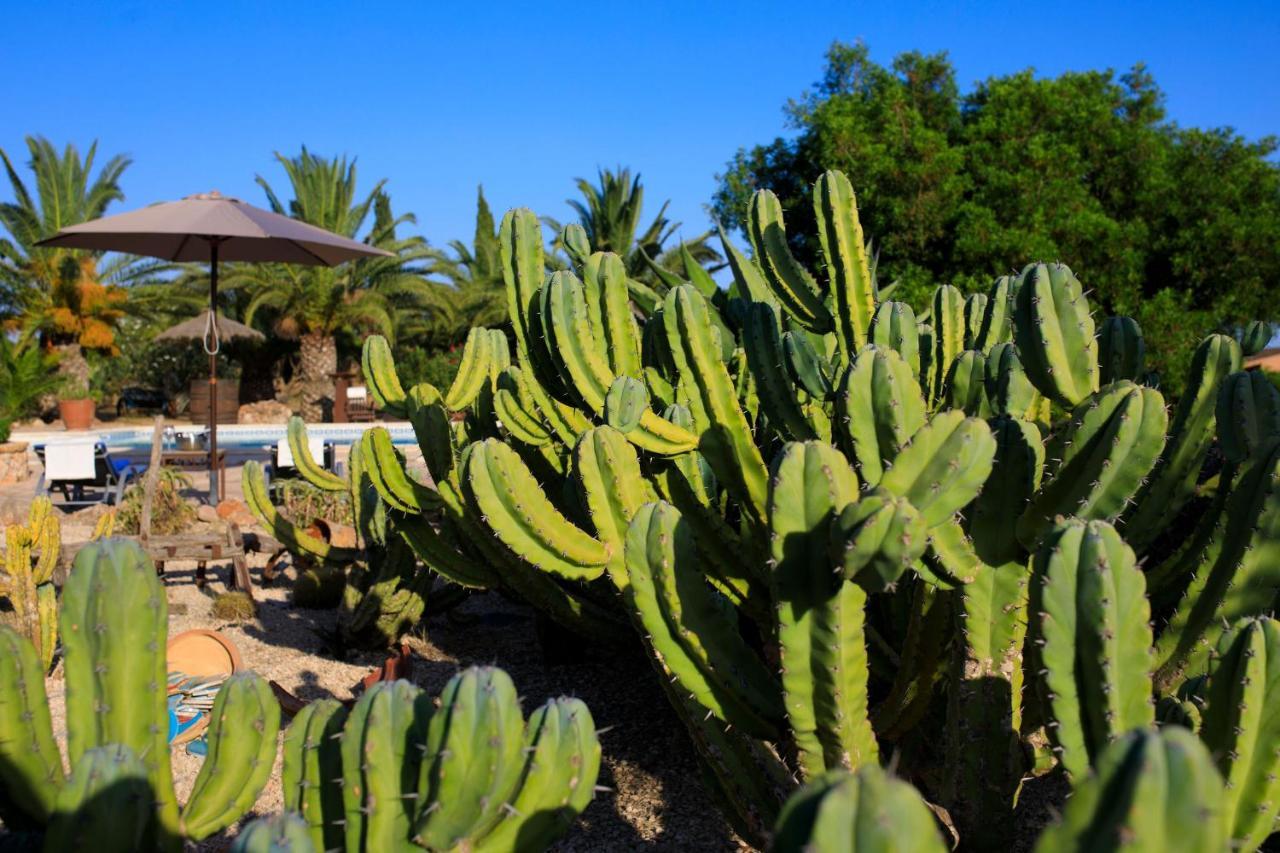 Holiday home Finca Son Yador Campos (Mallorca)