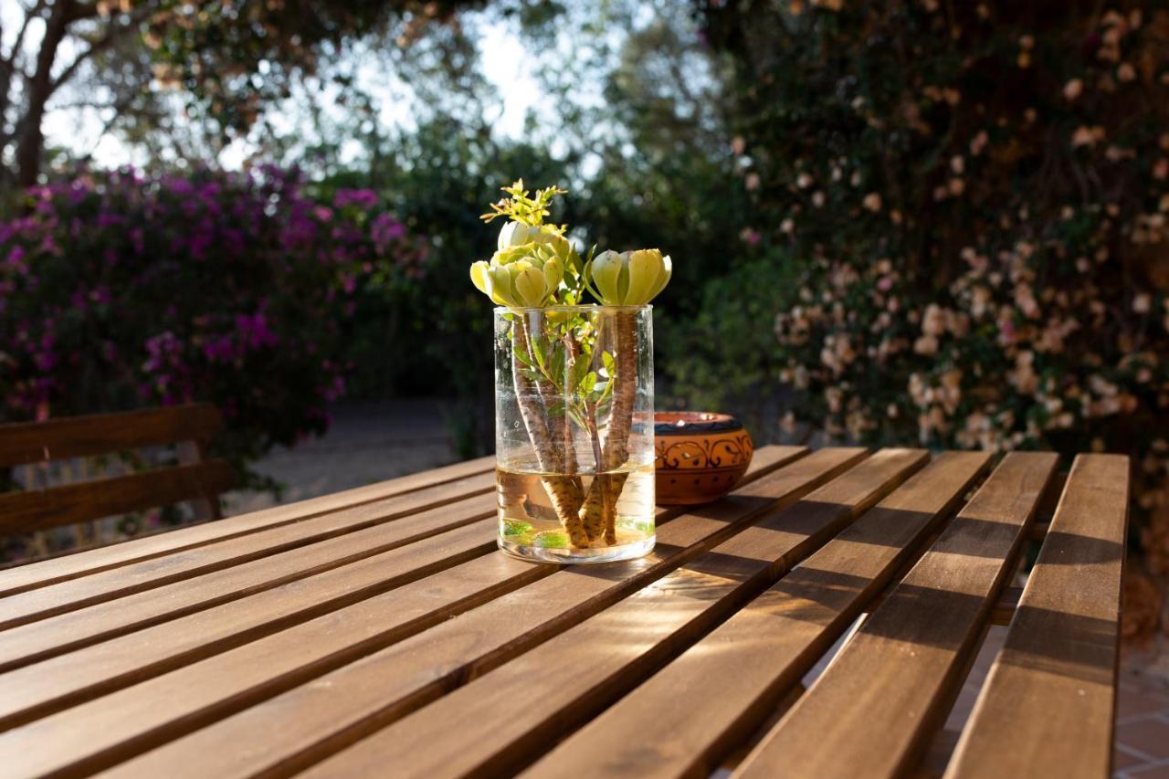 Holiday home Finca Son Yador *