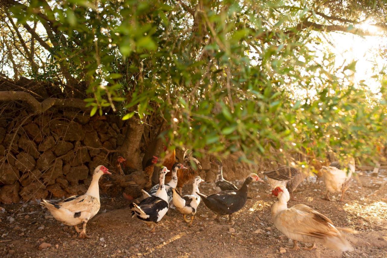 Finca Son Yador Ferienhaus