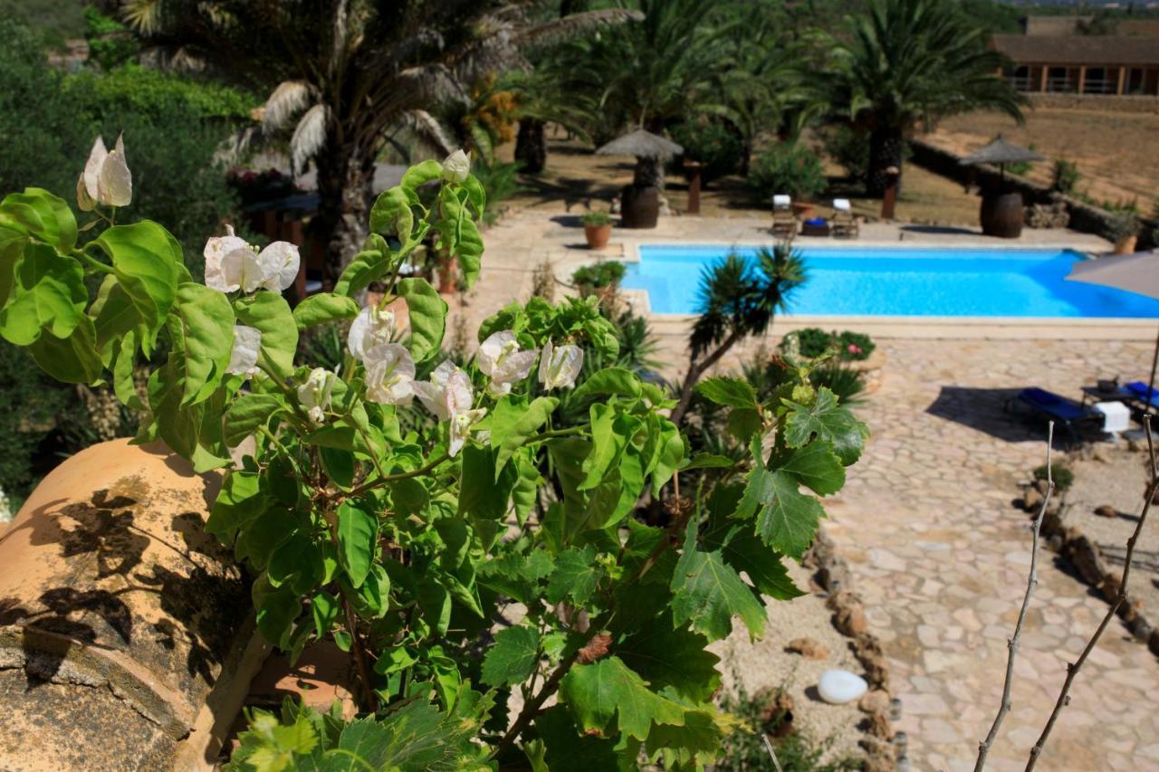 Ferienhaus Finca Son Yador
